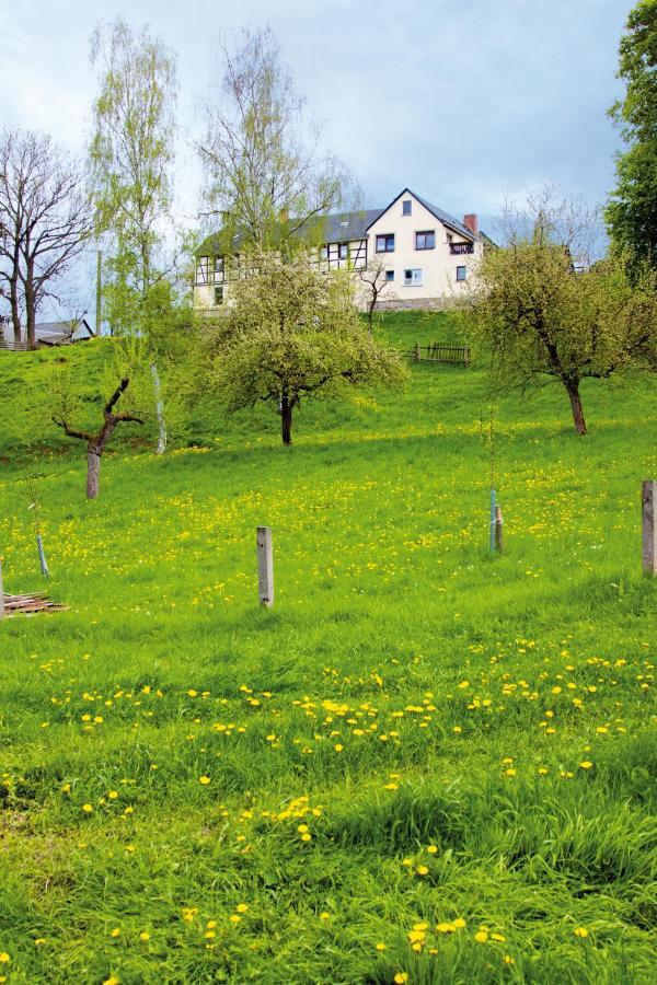 Berghof Διαμέρισμα Zeulenroda-Triebes Εξωτερικό φωτογραφία